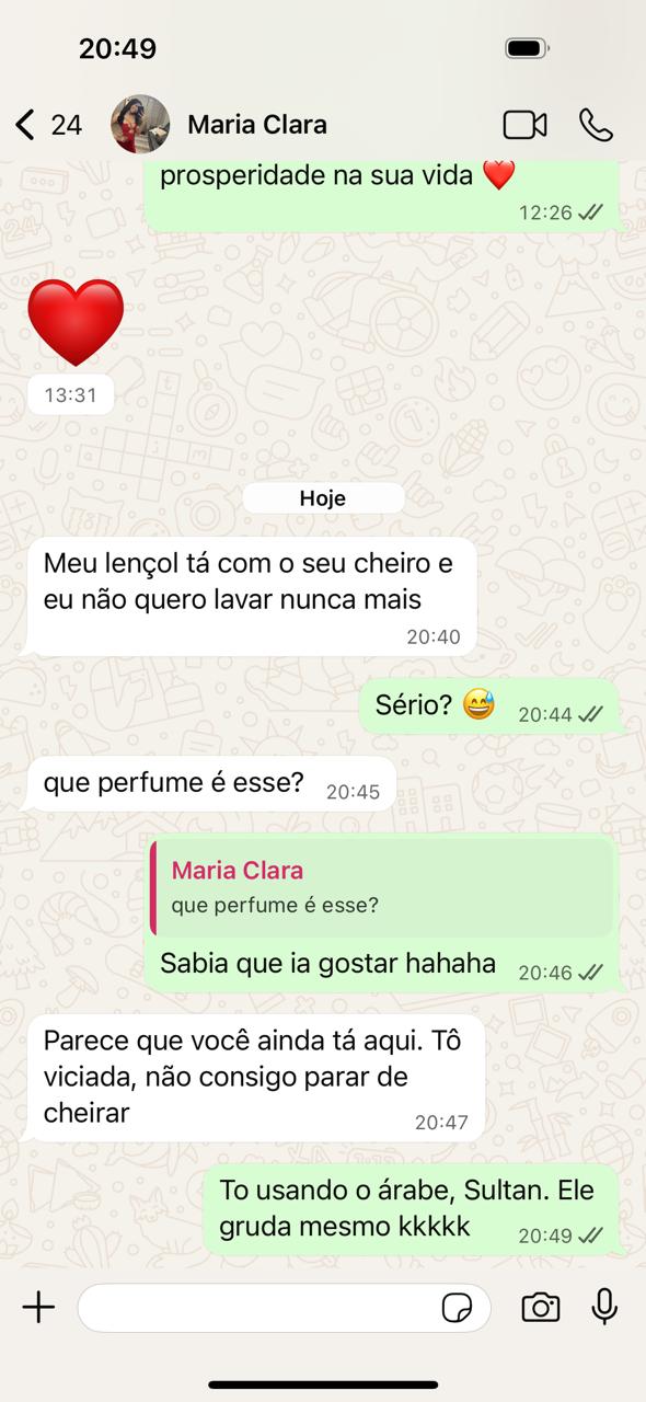 Print de conversa 2